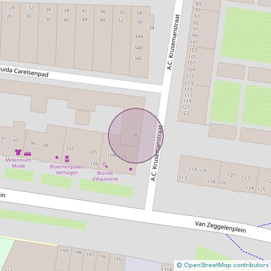 A.C. Krusemanstraat 36 - A 2032 HH Haarlem