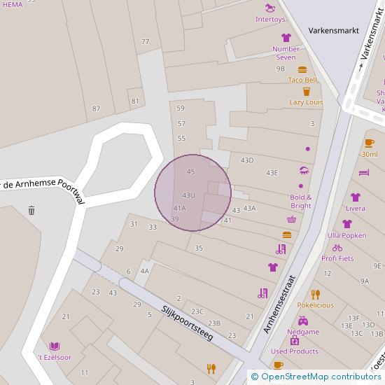 Achter de Arnhemse Poortwal 43 - W 3811 LX Amersfoort