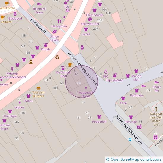 Achter het Verguld Harnas 3 - A 5211 HL 's-Hertogenbosch