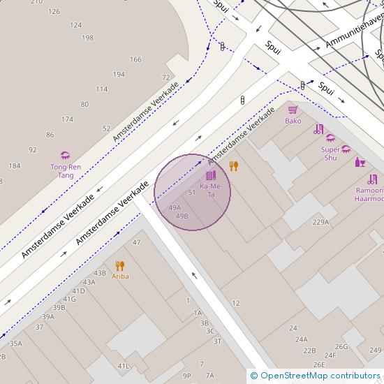 Amsterdamse Veerkade 51 - A 2512 AH 's-Gravenhage