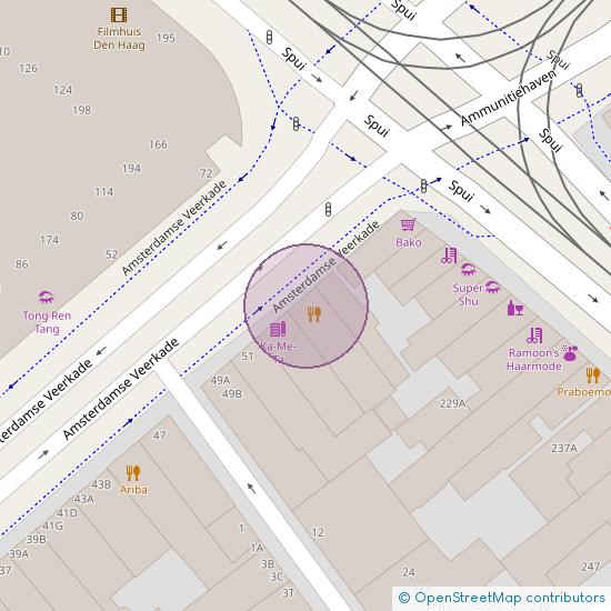 Amsterdamse Veerkade 55 2512 AH 's-Gravenhage