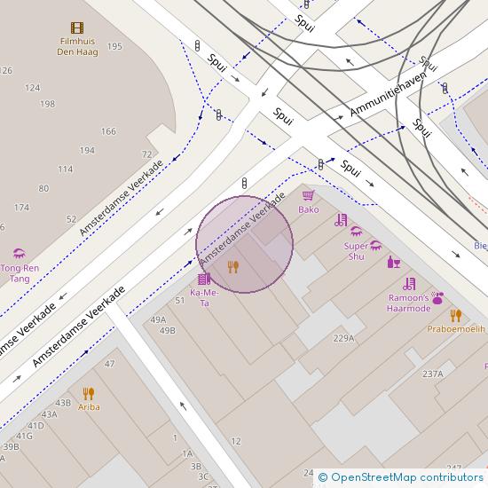 Amsterdamse Veerkade 57 - A 2512 AH 's-Gravenhage