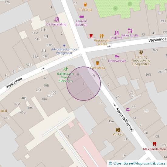 Assendelftstraat 3 2512 VS 's-Gravenhage