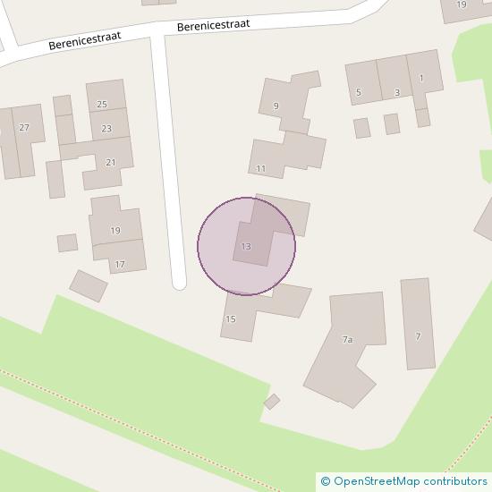 Berenicestraat 13 6916 BS Tolkamer