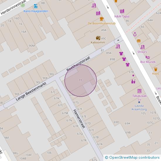 Boekhorststraat 79 - A 2512 CM 's-Gravenhage