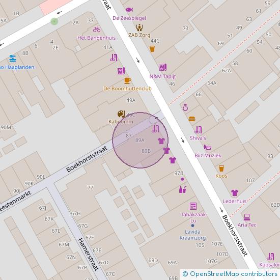 Boekhorststraat 89 - A 2512 CM 's-Gravenhage