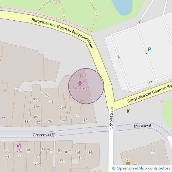 Burgemeester Goeman Borgesiusstraat 56 8331 KA Steenwijk