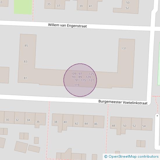 Burgemeester Voetelinkstraat 101 8331 BS Steenwijk