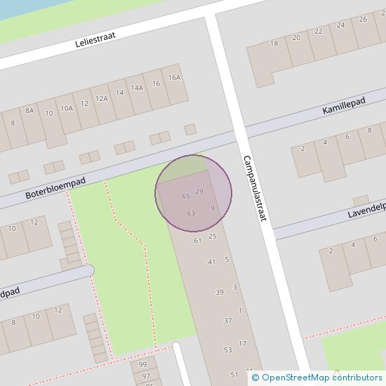 Campanulastraat 47 3202 BD Spijkenisse