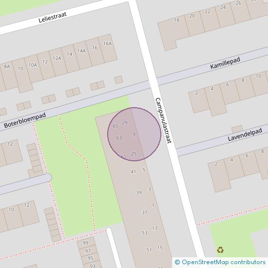 Campanulastraat 9 3202 BD Spijkenisse