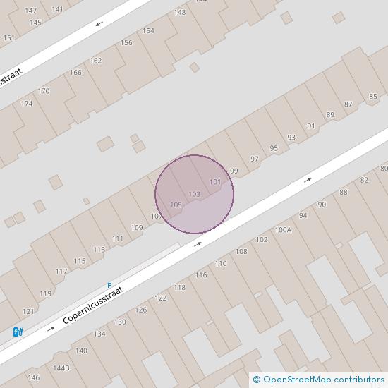 Copernicusstraat 103 2561 VS 's-Gravenhage