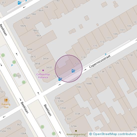 Copernicusstraat 121 - A 2561 VS 's-Gravenhage