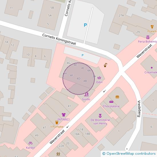 Cornelis Koningstraat 4 - D 6862 CK Oosterbeek