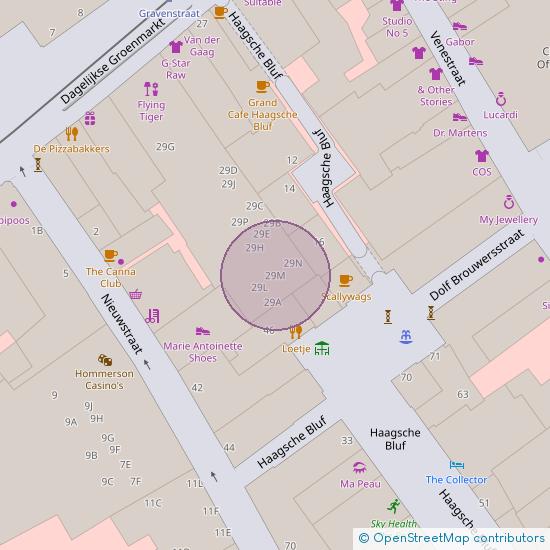 Dagelijkse Groenmarkt 29 - M 2513 AL 's-Gravenhage