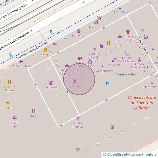 De Savornin Lohmanplein 21 - A 2566 AC 's-Gravenhage