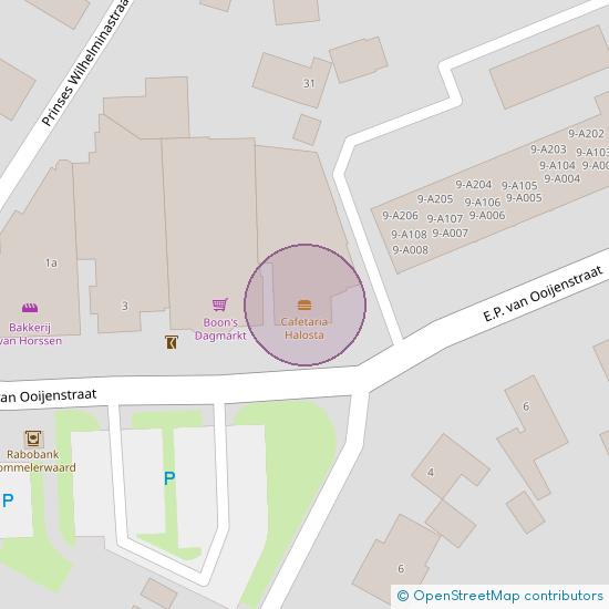 E.P. van Ooijenstraat 7 5308 KD Aalst