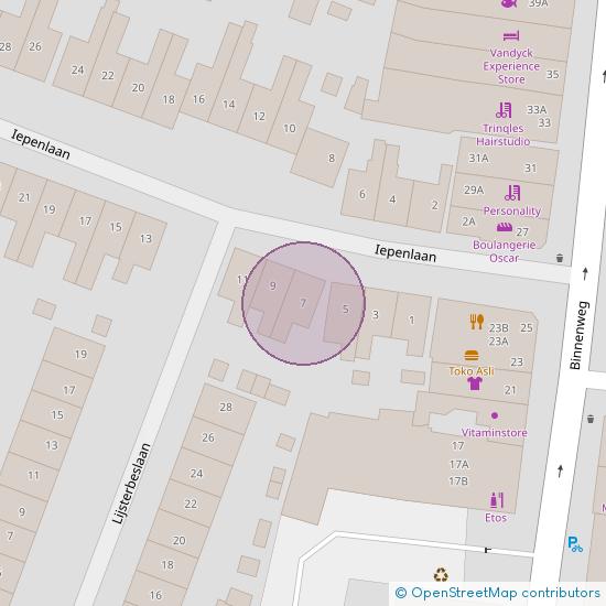 Iepenlaan 7 2101 WT Heemstede