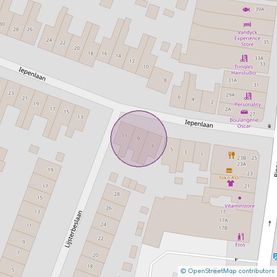 Iepenlaan 9 2101 WT Heemstede