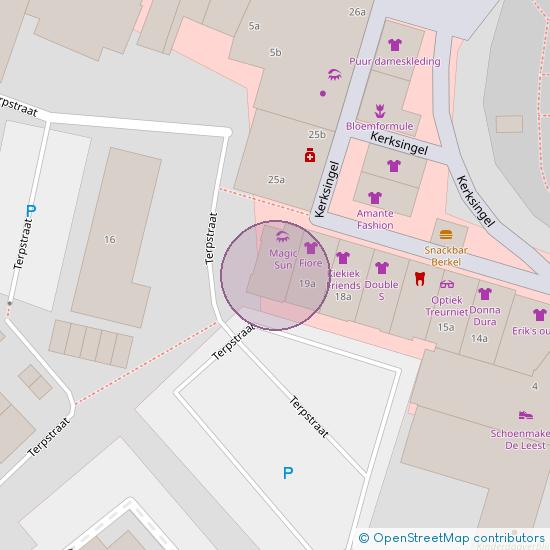 Kerksingel 20 - a 2651 CC Berkel en Rodenrijs