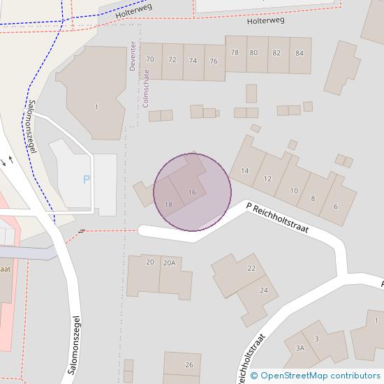 P. Reichholtstraat 16 7429 AS Colmschate