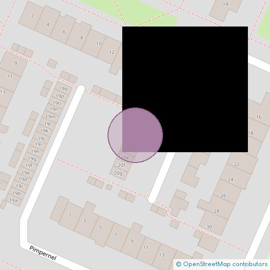 Tormentil 20 - b  Castricum