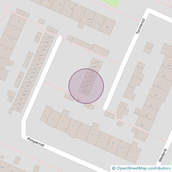 Tormentil 20 - f  Castricum